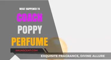 Coach Poppy Perfume: Why It Vanished and Where to Find It Now