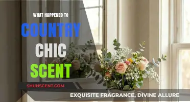 The Vanishing Allure: What Happened to Country Chic Scent?