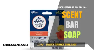 The Vanishing of Dial Tropical Scent Bar Soap: A Mystery Unraveled