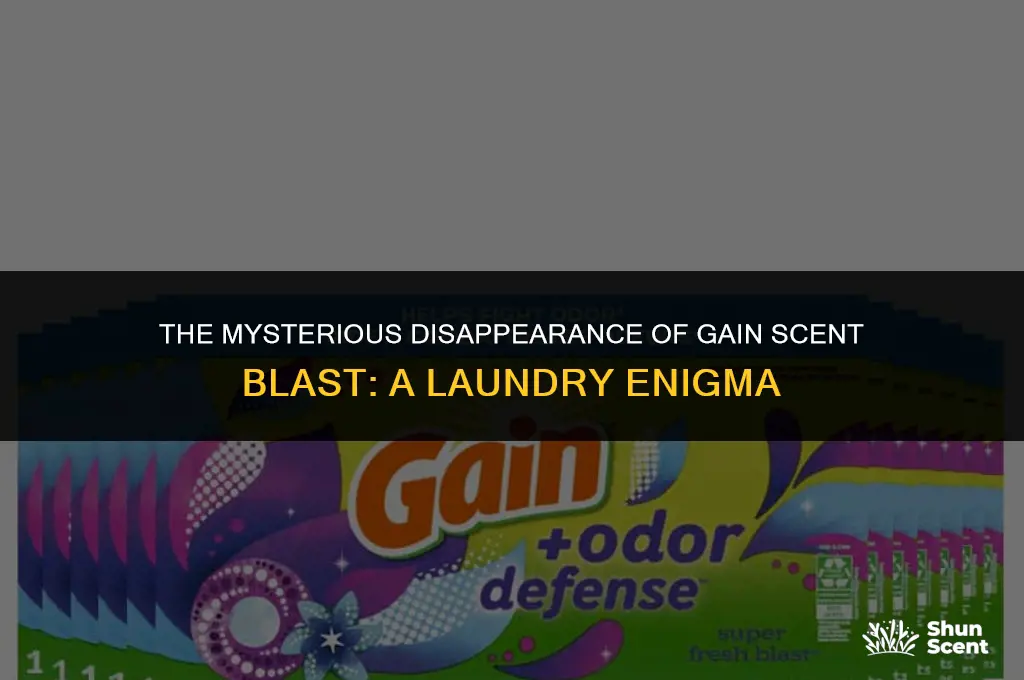 what happened to gain scent blast