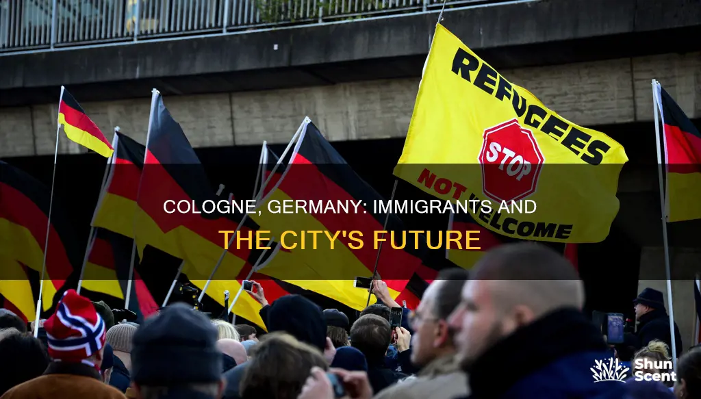 what happened to germany and immigrants cologne germany