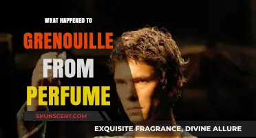 Grenouille's Fate: Unraveling the Mystery of Perfume's Enigmatic Protagonist