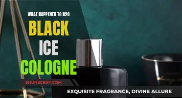 Black Ice Cologne: The Mystery Behind H20's Disappearance