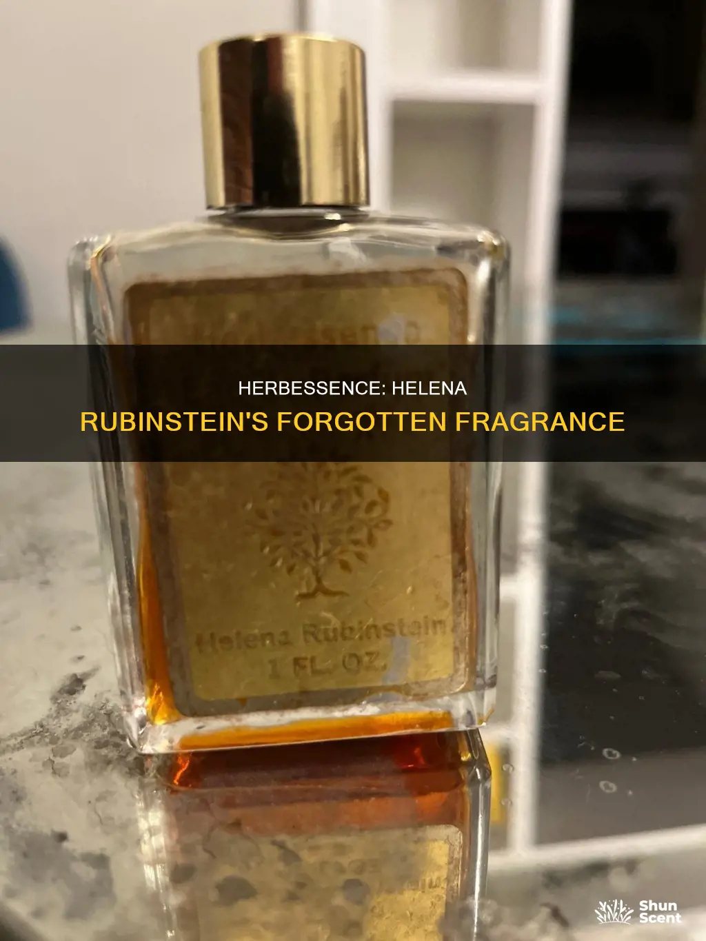 what happened to helena rubinstein