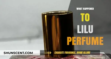 The Mysterious Disappearance of Lilu Perfume: What Really Happened?