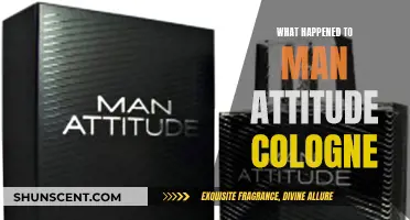 The Evolution of Man Attitude Cologne: What Changed?