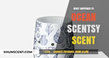 The Mysterious Disappearance of Ocean Scentsy: A Fragrant Enigma