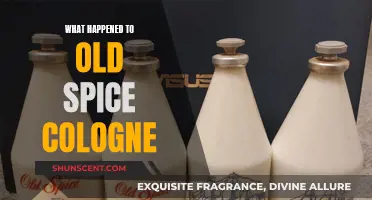 Old Spice: The Evolution of a Classic Scent