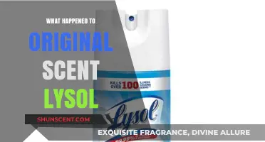 The Evolution of Lysol: What Happened to the Original Scent?