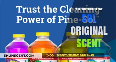 The Mysterious Disappearance of Pine-Sol's Original Scent