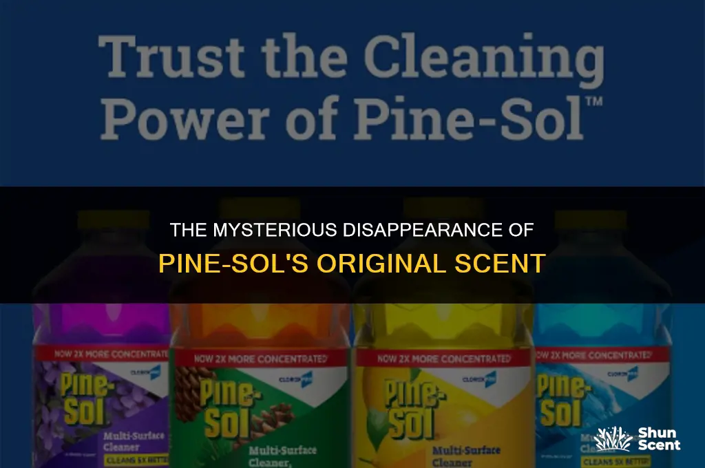 what happened to pine sol original scent