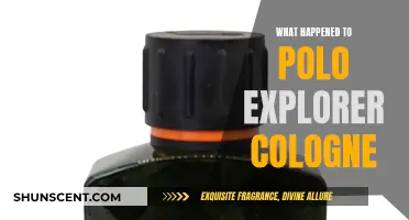 The Sudden Disappearance of Polo Explorer Cologne