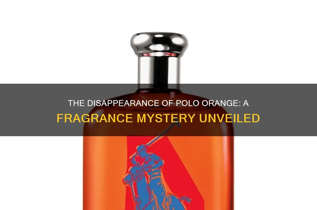 what happened to polo orange perfume