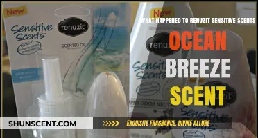 Vanishing Ocean Breeze: The Disappearance of Renuzit Sensitive Scents