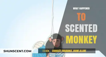 The Mysterious Disappearance of the Scented Monkey: An Investigative Report