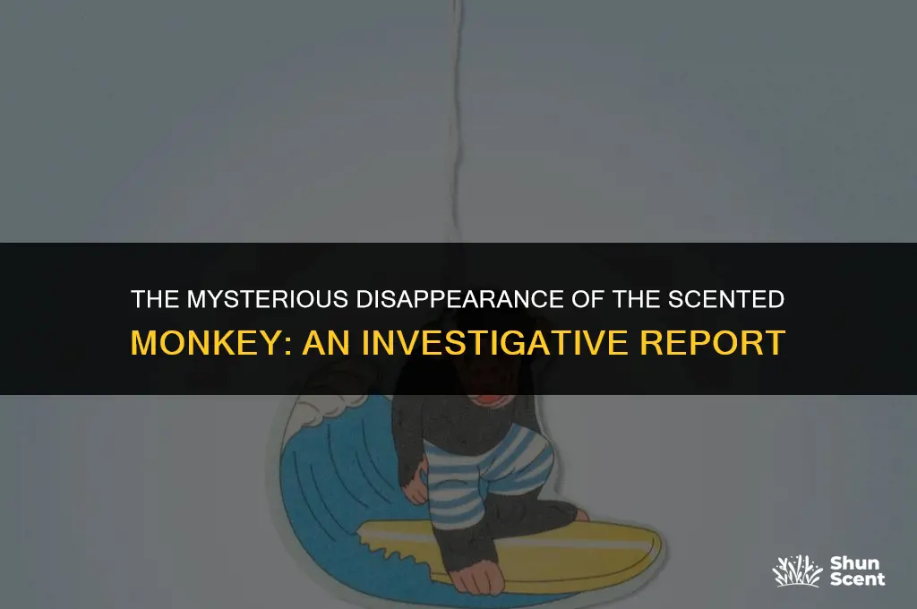 what happened to scented monkey