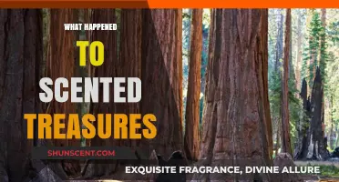 The Mysterious Disappearance of Scented Treasures: An Investigative Journey