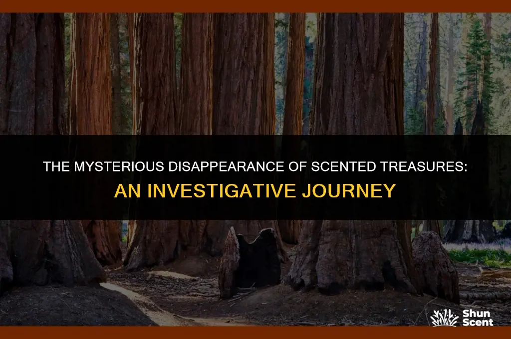 what happened to scented treasures