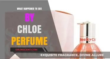 The Disappearance of See by Chloé: What Happened to the Iconic Perfume?