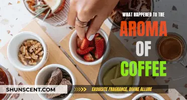 The Coffee Aroma: Lost in the Modern Brew?