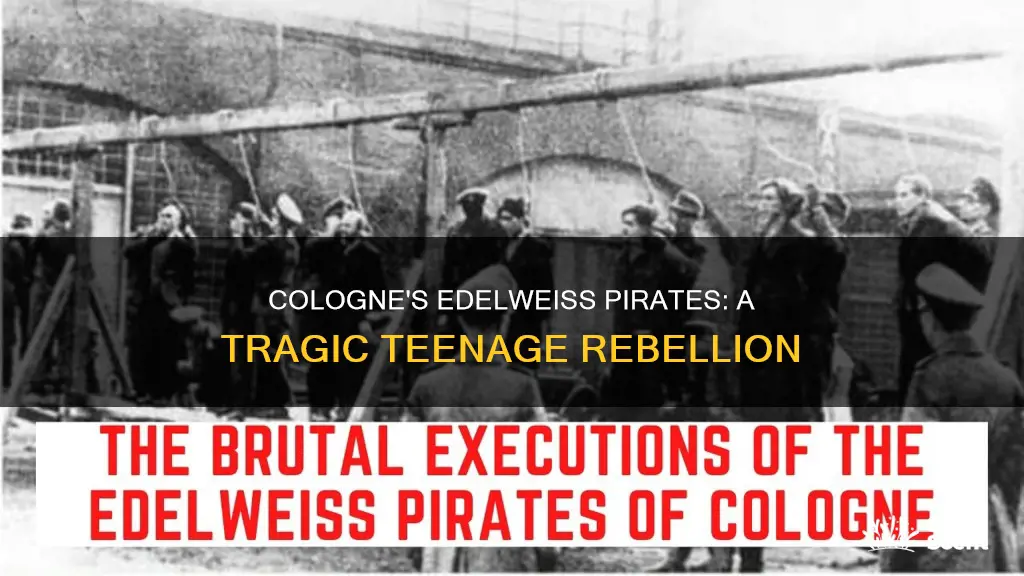 what happened to the edelweiss pirates in cologne