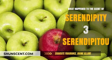 The Vanishing Aroma: Unraveling the Mystery of Serendipity 3