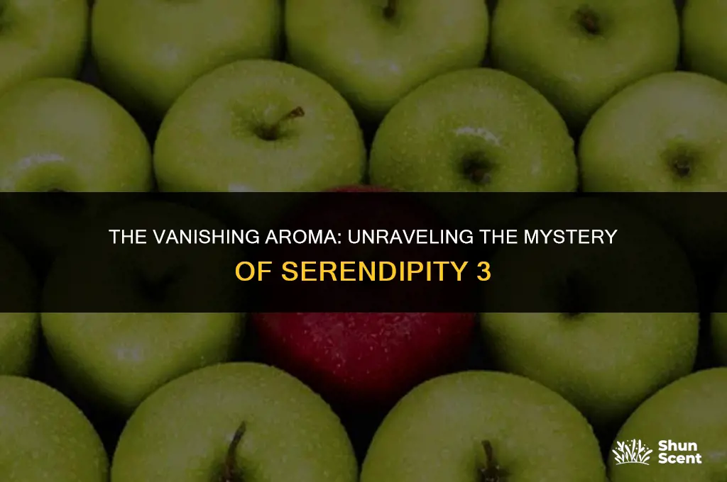 what happened to the scent of serendipity 3 serendipitous