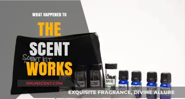 The Mysterious Disappearance of The Scent Works: An Investigative Journey