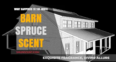 The Vanishing White Barn Spruce Scent: A Fragrant Mystery Unfolds