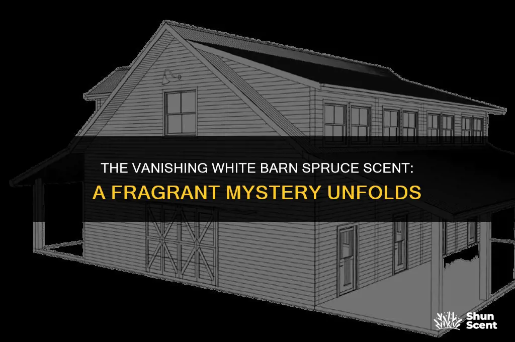 what happened to the white barn spruce scent