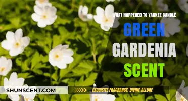 The Vanishing of Yankee Candle's Green Gardenia: A Scent Mystery