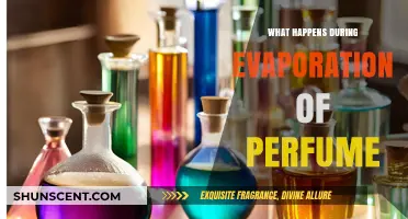 Unveiling the Science: How Perfume Evaporates and Fills the Air