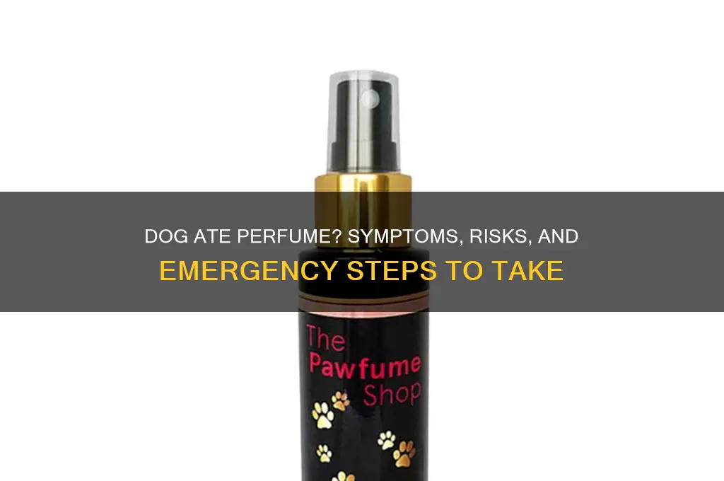 what happens if a dog eats perfume