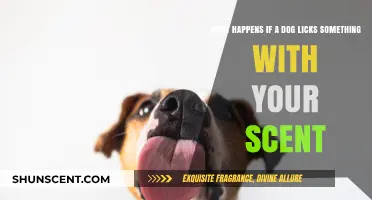 Canine Curiosity: The Surprising Science Behind Dogs and Scents