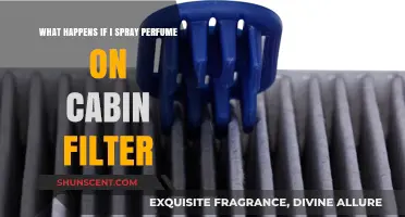 Perfume on Cabin Filter: Risks, Effects, and Proper Maintenance Tips