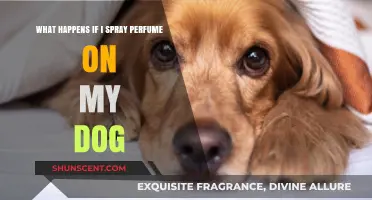 Can You Spray Perfume on Dogs? Risks and Safe Alternatives Explained