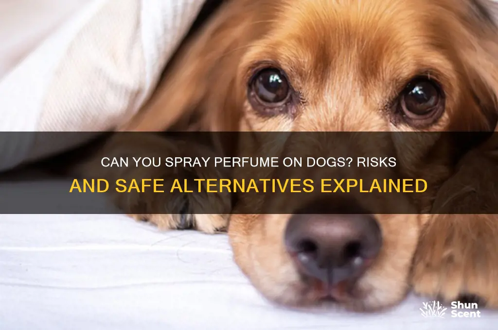 what happens if i spray perfume on my dog