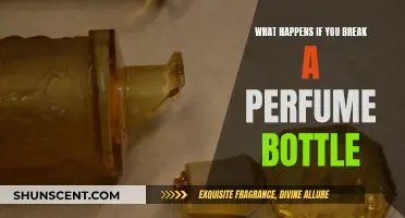 Spilled Scent: What to Do When a Perfume Bottle Breaks