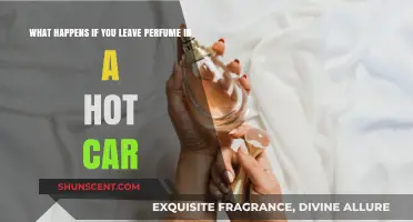 Hot Car, Hot Mess: The Effects on Perfume