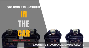 Leaving Perfume in Your Car: Risks, Effects, and Proper Storage Tips