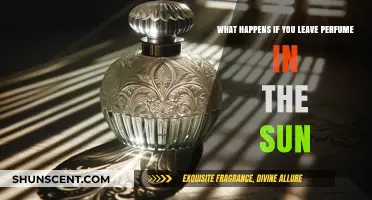 Sunlight's Impact: How Heat Affects Your Perfume's Quality and Scent