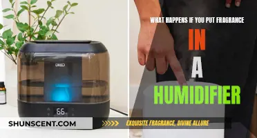 Can You Put Fragrance in a Humidifier?