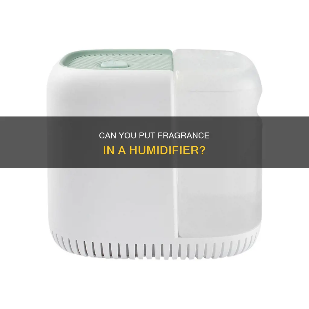 what happens if you put fragrance in a humidifier