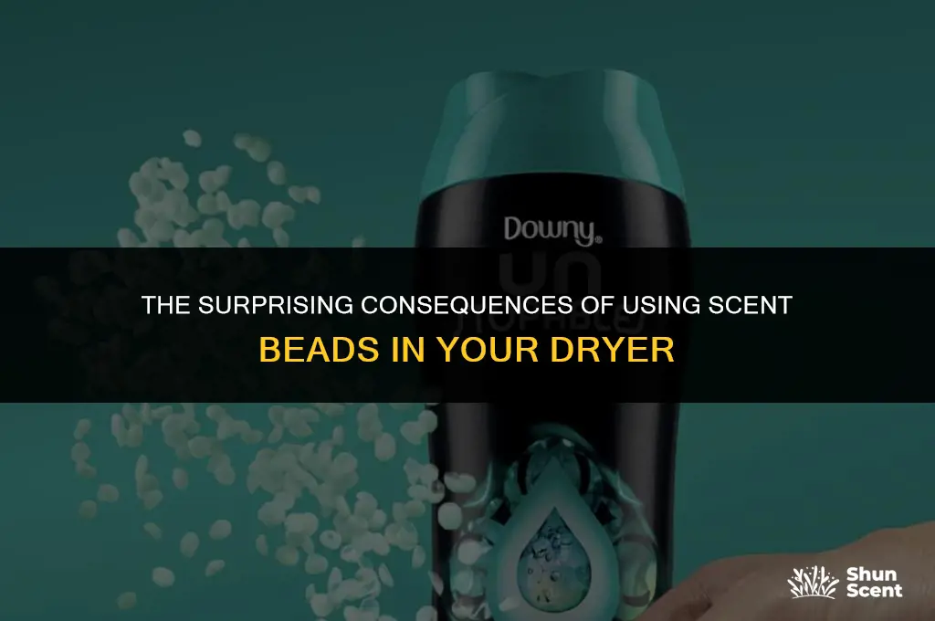 what happens if you put scent beads in the dryer