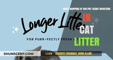 The Surprising Effects of Scent Boosters in Cat Litter