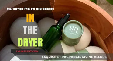 Boosting Freshness: The Do's and Don'ts of Scent Boosters in Dryers