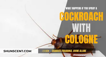 The Curious Case of Cockroaches and Cologne