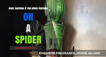 Perfume vs. Spiders: Unraveling the Unexpected Effects of Fragrance