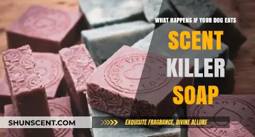 Dog Ate Scent Killer Soap: Symptoms, Risks, and What to Do