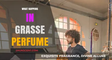 Exploring Grasse's Perfume Secrets: A Journey Through Fragrance Creation